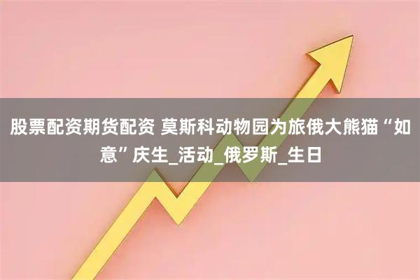 股票配资期货配资 莫斯科动物园为旅俄大熊猫“如意”庆生_活动_俄罗斯_生日