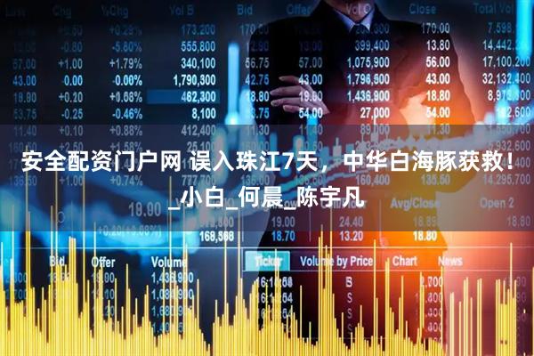 安全配资门户网 误入珠江7天，中华白海豚获救！_小白_何晨_陈宇凡