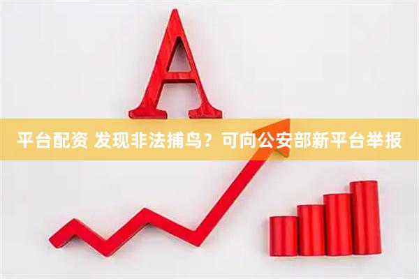 平台配资 发现非法捕鸟？可向公安部新平台举报