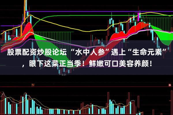 股票配资炒股论坛 “水中人参”遇上“生命元素”，眼下这菜正当季！鲜嫩可口美容养颜！